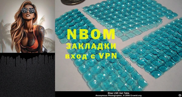 сатива Алексеевка