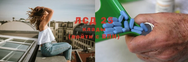 сатива Алексеевка