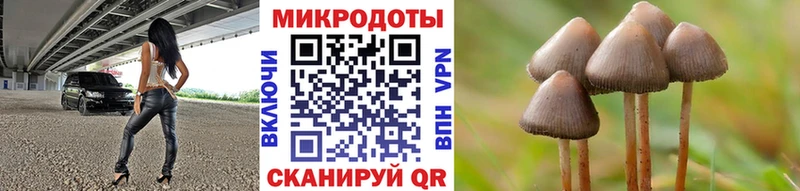 mega   купить   Бронницы  Псилоцибиновые грибы мицелий 